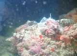 20131107170018072373-278.jpeg