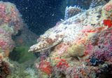20131107170018111375-279.jpeg