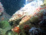 20131107170018162378-280.jpeg