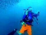20131107170035850390-psb19.jpe...